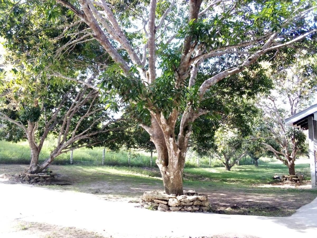 Balai Mariacaria Pension House Guindulman Esterno foto