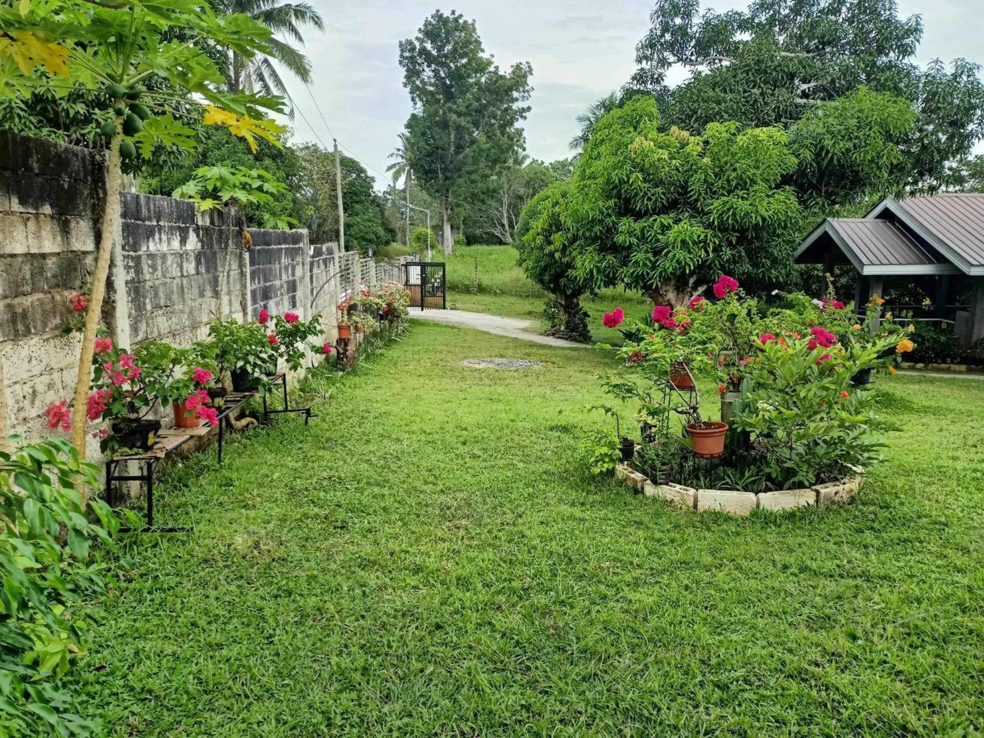 Balai Mariacaria Pension House Guindulman Esterno foto